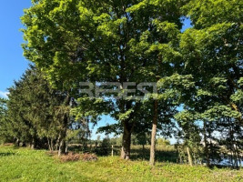 Parduodamas namas Bokšto g., Bubių k., Šiaulių r. sav., 108 m2 ploto, 1 aukštai 18