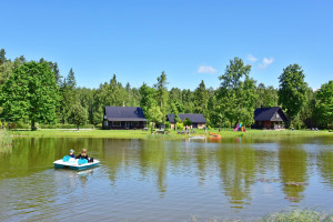 Parduodamas namas Abukauskinės k., Panevėžio r. sav., 215 m² ploto 6 kambariai 9