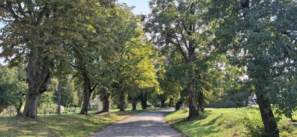 Parduodamas namas Vytėnų , Pilies I k., Jurbarko r. sav., 106.41 m2 ploto, 1 aukštai 13