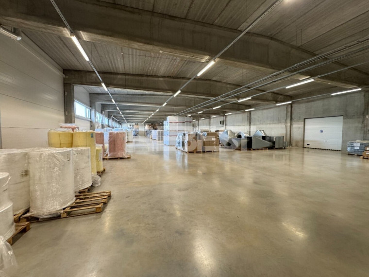 Nuomojamos  patalpos Pabaliai, Šiaulių m., Šiaulių m. sav., 2192.88 m2 ploto 4