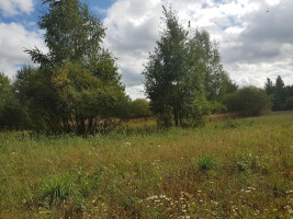 Parduodamas sklypas Klickų k., Panevėžio r. sav., 430 a ploto 11