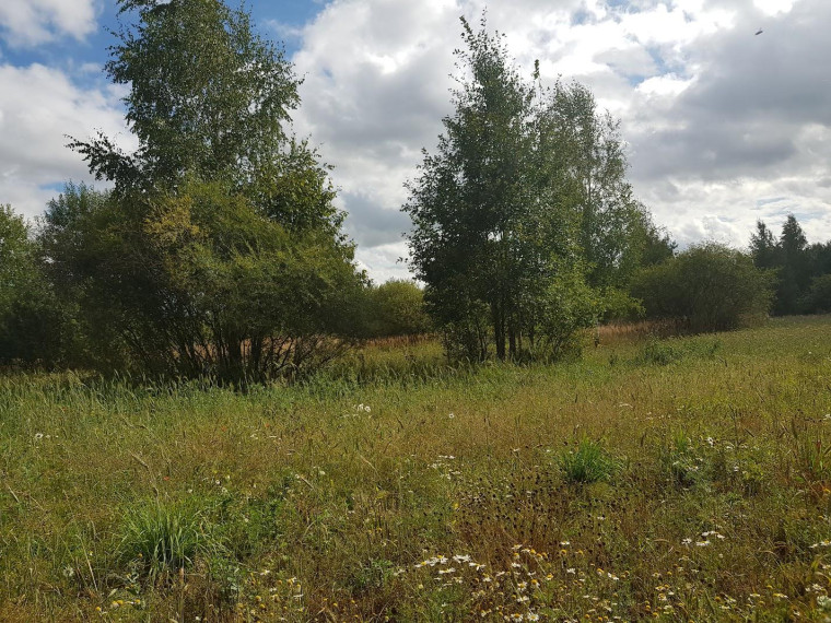 Parduodamas sklypas Klickų k., Panevėžio r. sav., 430.00 a ploto 11