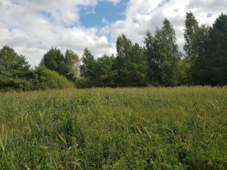 Parduodamas sklypas Klickų k., Panevėžio r. sav., 430.00 a ploto 12