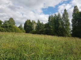 Parduodamas sklypas Klickų k., Panevėžio r. sav., 430 a ploto 13