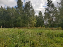 Parduodamas sklypas Klickų k., Panevėžio r. sav., 430 a ploto 15