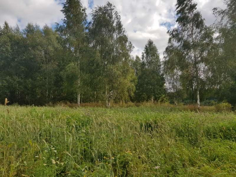 Parduodamas sklypas Klickų k., Panevėžio r. sav., 430.00 a ploto 15