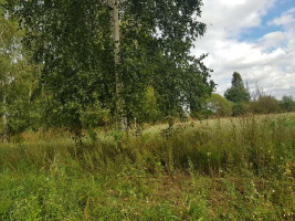 Parduodamas sklypas Klickų k., Panevėžio r. sav., 430 a ploto 16