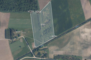 Parduodamas sklypas Klickų k., Panevėžio r. sav., 430 a ploto 4