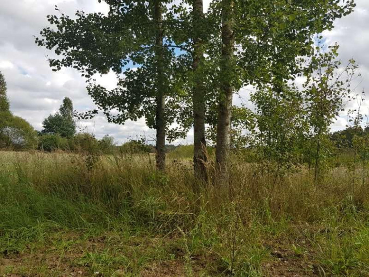 Parduodamas sklypas Klickų k., Panevėžio r. sav., 430.00 a ploto 7
