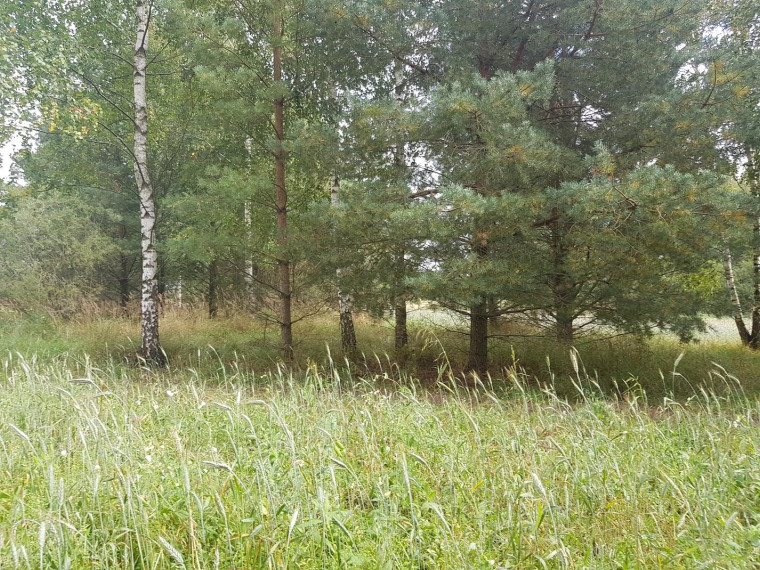 Parduodamas sklypas Klickų k., Panevėžio r. sav., 430.00 a ploto 8