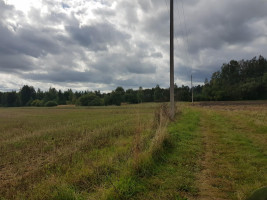 Parduodamas sklypas Klickų k., Panevėžio r. sav., 430 a ploto 9