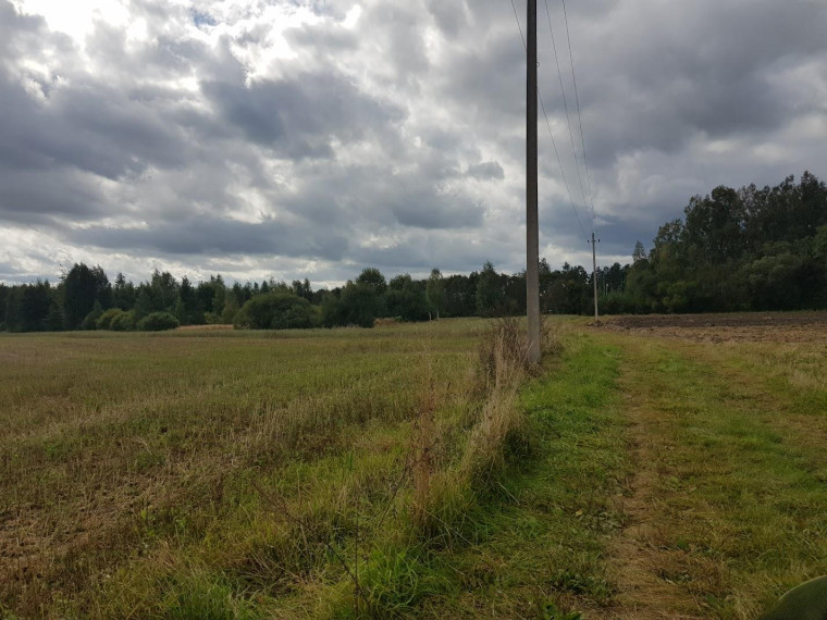 Parduodamas sklypas Klickų k., Panevėžio r. sav., 430.00 a ploto 9