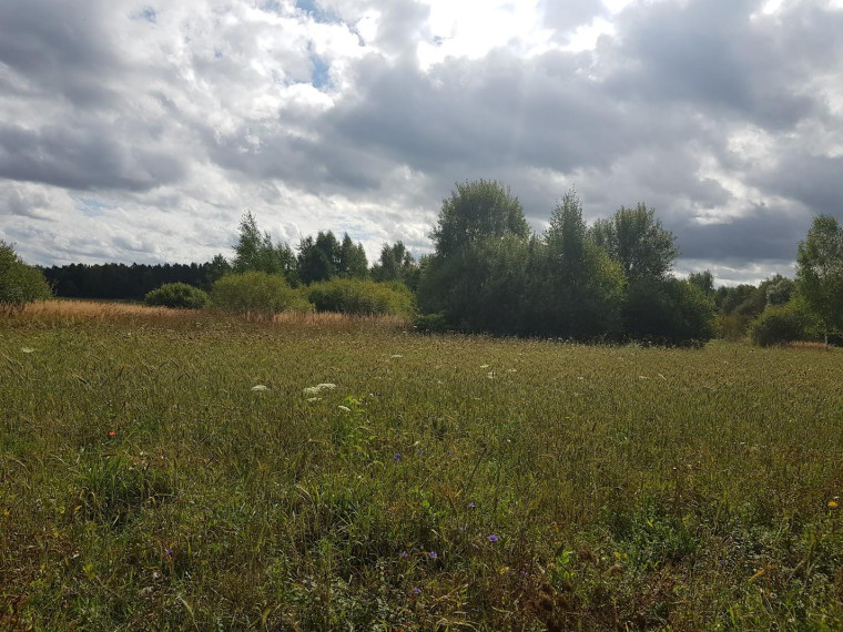 Parduodamas sklypas Klickų k., Panevėžio r. sav., 430.00 a ploto 10