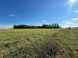 Parduodamas sklypas Girbučių k., Kupiškio r. sav., 425.00 a ploto 11