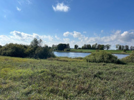 Parduodamas sklypas Girbučių k., Kupiškio r. sav., 425.00 a ploto 13