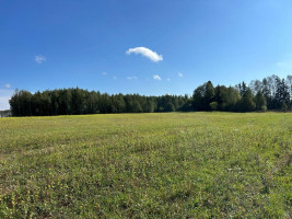Parduodamas sklypas Girbučių k., Kupiškio r. sav., 425.00 a ploto 14