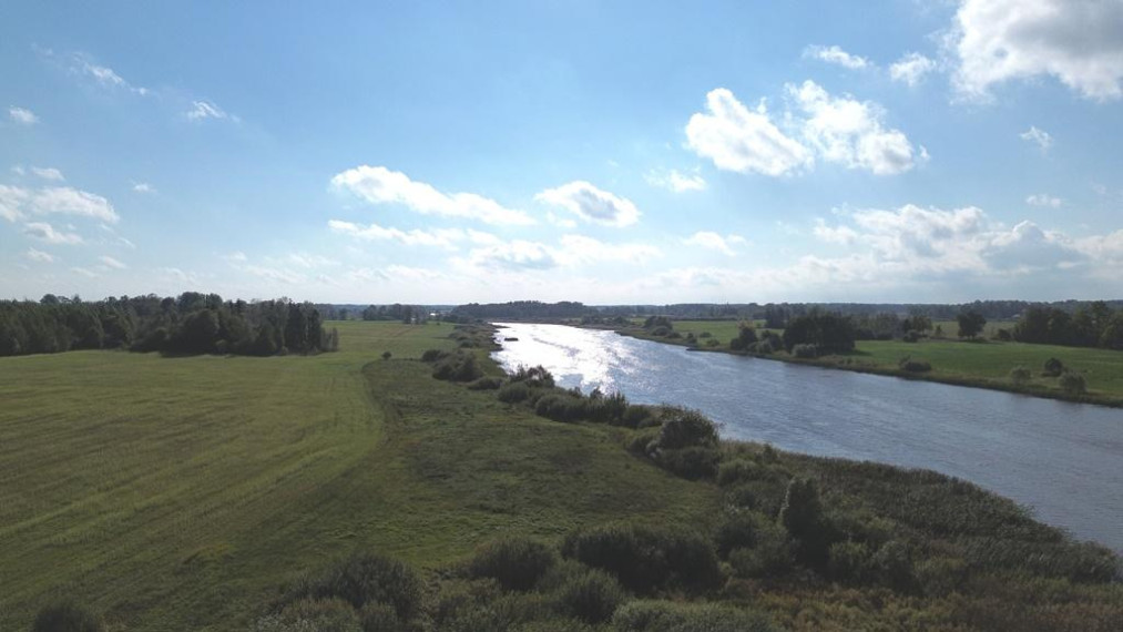 Parduodamas sklypas Girbučių k., Kupiškio r. sav., 425.00 a ploto 4