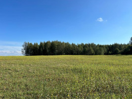 Parduodamas sklypas Girbučių k., Kupiškio r. sav., 425.00 a ploto 6