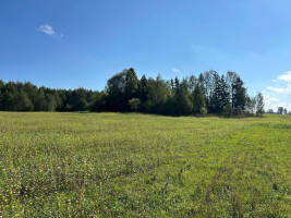 Parduodamas sklypas Girbučių k., Kupiškio r. sav., 425.00 a ploto 7
