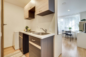 Parduodamas butas Giedraičių g., Šnipiškės, Vilniaus m., Vilniaus m. sav., 16.05 m² ploto 1 kambarys 9