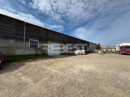 Nuomojamos  patalpos Uosių g., Pagojo k., Kelmės r. sav., 575 m2 ploto 10
