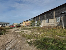 Nuomojamos  patalpos Uosių g., Pagojo k., Kelmės r. sav., 575 m2 ploto 11