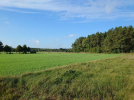 Parduodamas sklypas Vytauto g., Bazilionų mstl., Šiaulių r. sav., 21.92 a ploto 9