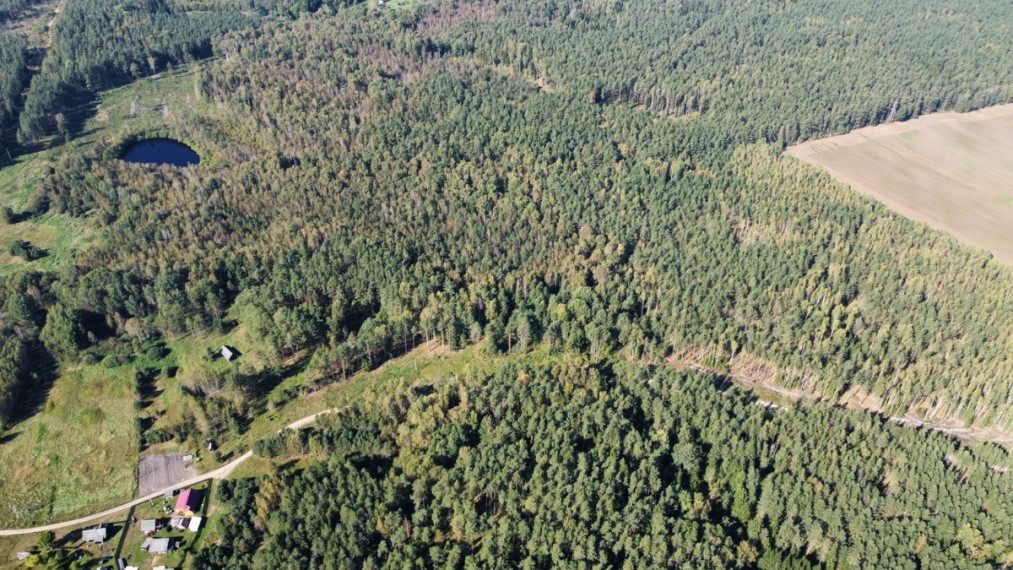 Parduodamas  sklypas Lukonių k. , Lukonių k., Trakų r. sav., 399.86 a ploto 13