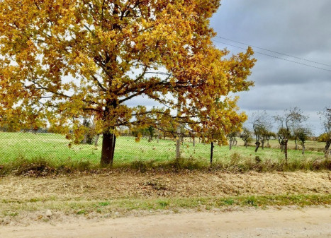 Parduodamas  sklypas Raudėnų k., Šiaulių r. sav., 833 a ploto
