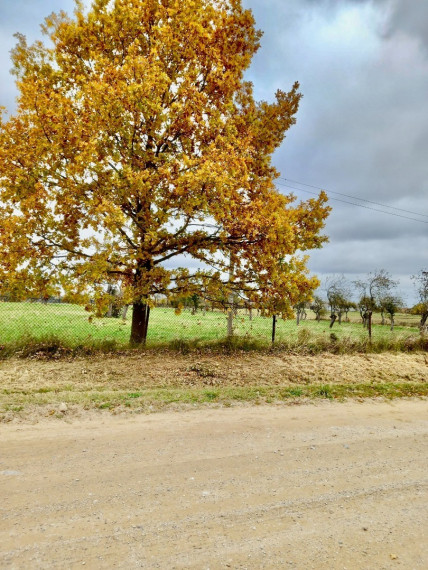 Parduodamas sklypas Raudėnų k., Šiaulių r. sav., 833 a ploto 1