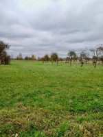 Parduodamas  sklypas Raudėnų k., Šiaulių r. sav., 833 a ploto 2