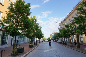 Parduodamas butas Vilniaus g., Centras, Šiaulių m., Šiaulių m. sav., 60.2 m2 ploto, 3 kambariai 2