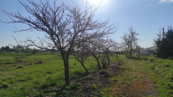 Parduodamas namas Tekoriškio g., Tekoriškio k., Panevėžio r. sav., 78 m² ploto 4 kambariai 27