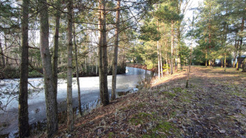 Parduodamas namas Riešutų g., Pagiegalos k., Panevėžio r. sav., 40.85 m² ploto 2 kambariai 29