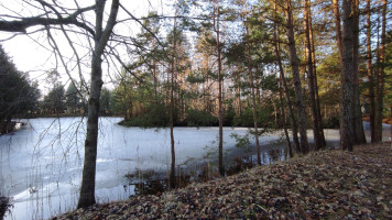 Parduodamas namas Riešutų g., Pagiegalos k., Panevėžio r. sav., 40.85 m² ploto 2 kambariai 30