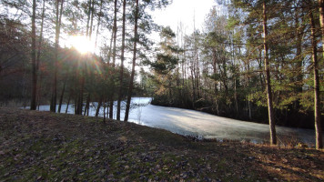 Parduodamas namas Riešutų g., Pagiegalos k., Panevėžio r. sav., 40.85 m² ploto 2 kambariai 31