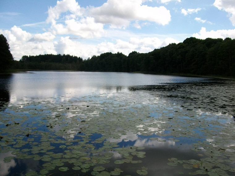 Parduodamas sklypas Žąsinų k., Švenčionių r. sav., 300 a ploto 1