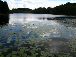 Parduodamas sklypas Žąsinų k., Švenčionių r. sav., 300 a ploto 2