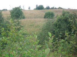 Parduodamas sklypas Žąsinų k., Švenčionių r. sav., 300 a ploto 3