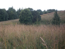 Parduodamas sklypas Žąsinų k., Švenčionių r. sav., 300 a ploto 4