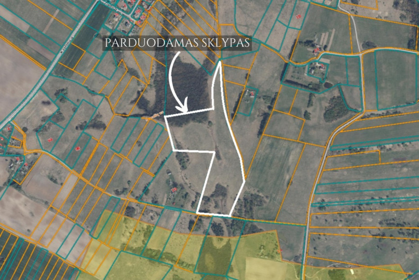 Parduodamas  sklypas Paberžės mstl., Vilniaus r. sav., 656 a ploto 16