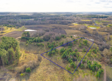 Parduodamas  sklypas Vydautiškių k., Vilniaus r. sav., 145 a ploto
