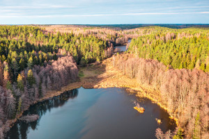 Parduodamas kitos paskirties sklypas Pakojo, Žuklijų k., Trakų r. sav., 222.67 a ploto 9