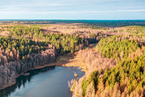 Parduodamas kitos paskirties sklypas Pakojo, Žuklijų k., Trakų r. sav., 222.67 a ploto 11