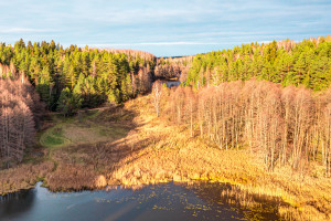 Parduodamas kitos paskirties sklypas Pakojo, Žuklijų k., Trakų r. sav., 222.67 a ploto 13