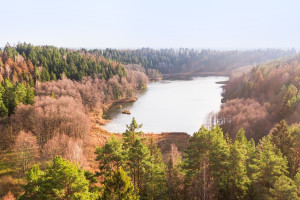Parduodamas kitos paskirties sklypas Pakojo, Žuklijų k., Trakų r. sav., 222.67 a ploto 8