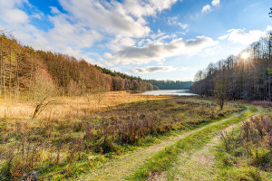Parduodamas kitos paskirties sklypas Pakojo, Žuklijų k., Trakų r. sav., 222.67 a ploto 3