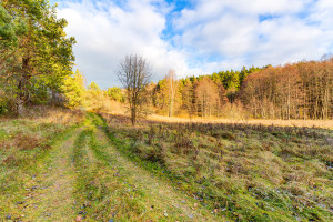 Parduodamas kitos paskirties sklypas Pakojo, Žuklijų k., Trakų r. sav., 222.67 a ploto 6