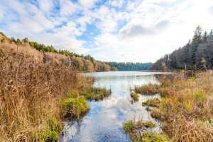 Parduodamas kitos paskirties sklypas Pakojo, Žuklijų k., Trakų r. sav., 222.67 a ploto 2