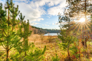 Parduodamas kitos paskirties sklypas Pakojo, Žuklijų k., Trakų r. sav., 222.67 a ploto 1